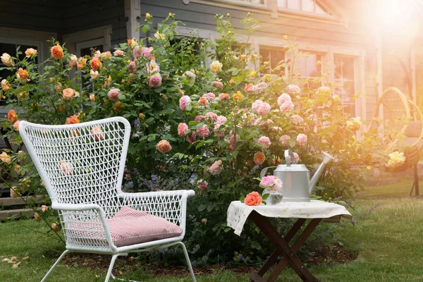 バラ園 木製のテーブルと英語のバラの大規模な開花茂みの近くの椅子にロマンチックな座席エリア 花のための散水 庭での園芸とリラックスの概念 ストック写真