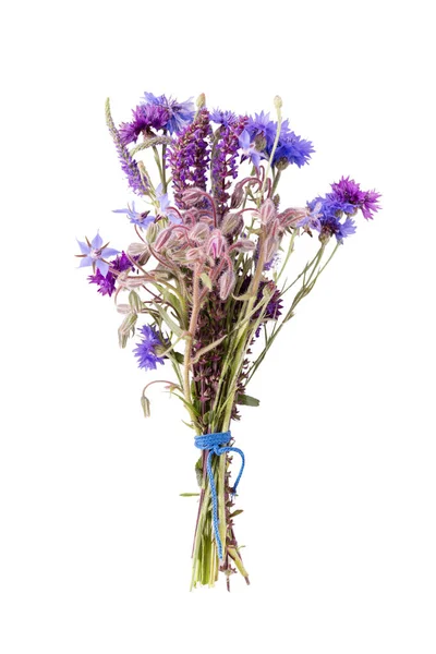 Viola Fiori Campo Blu Bouquet Isolato Sfondo Bianco Lavanda Fiordaliso — Foto Stock