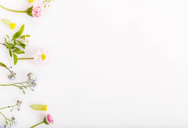 Feestelijke Roze Bloemen Madeliefjes Forget Nots Frame Samenstelling Witte Achtergrond — Stockfoto