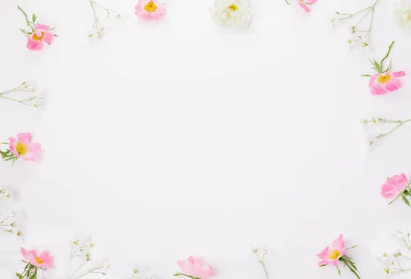 在白色背景上的野粉红蔷薇框架 俯瞰全景 平躺在床上 — 图库照片