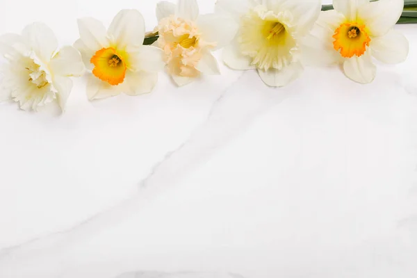 Composizione Dei Fiori Sfondo Marmo Bianco Con Fiori Narcisi Primavera — Foto Stock