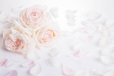 Romantik düğün geçmişi. Düğün, sevgililer günü nişan teması