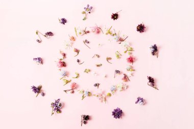 Çiçek kompozisyonu. Beyaz arka planda izole edilmiş pembe, mavi, beyaz ortanca çiçeği çelengi. Düz konum, üst görünüm, kopyalama alanı