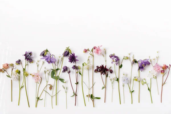 stock image Floral pattern with wildflowers, green leaves, branches on white background. Flat lay, top view.