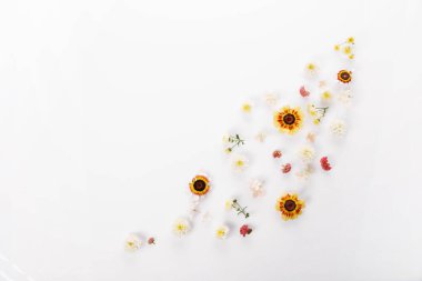 Küçük çiçekli bahar çerçevesi ve papatya, çiçek aranjmanı.