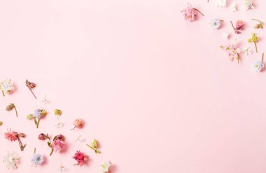 Küçük çiçekli bahar çerçevesi ve pembe arka planda papatya, çiçek aranjmanı.