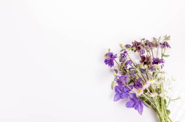 Beyaz arka planda papatyalar olan mavi ve mor çiçek demeti, yazın sembolü, çayır çiçekleri, kır çiçekleri.