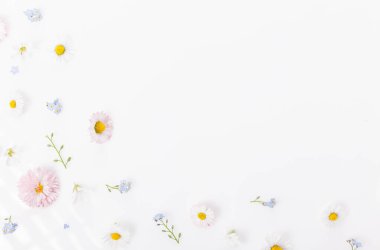 Bahar ya da yaz aralığı küçük çiçekler ve papatya, çiçek aranjmanı