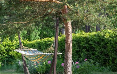 Güzel, bakımlı bir bahçenin parçası, güzel bir yaz bahçesinde hamak, doğayla baş başa bir rahatlama.