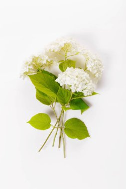 Beyaz arka planda bir buket beyaz ortanca, düğün, tatil, güzellik konsepti