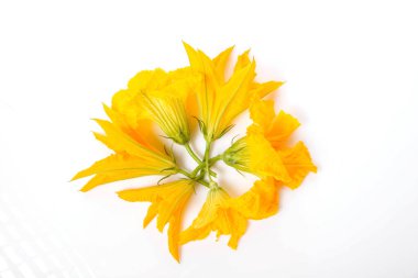 Dilimlenmiş yeşil kabak beyaz arka planda, düz yerde, üst manzarada.