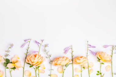 Turuncu güllü sonbahar kompozisyonu, beyaz arka planda yapraklar ve çiçekler. Düz yat, boşluğu kopyala.