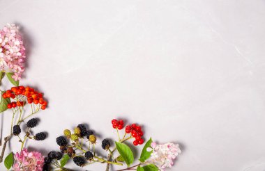 Ortanca çiçekli sonbahar kompozisyonu, aronia, rowan, böğürtlen, gri mermer arka planda gül kalçası. Düz konum, kopyalama alanı. Sonbahar hasadı, Şükran Günü, sonbahar mevsimi.