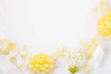 Kare şeklinde sarı güller ve beyaz kurdeleli beyaz ortancalar. Tebrik ederim. Sonbahar geçmişi..