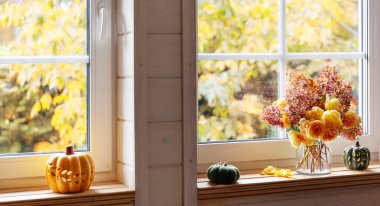 Sonbahar bahçesine bakan ahşap bir evin geniş pencereleri pencere eşiğinde sarı güller ve ortancalar, balkabakları, sonbahar sonbahar sonbahar konsepti.