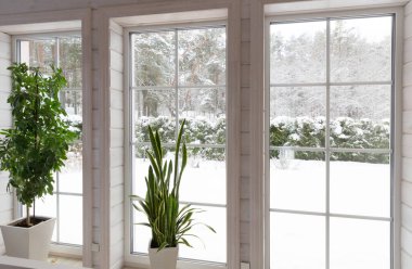 Large tropical indoor plants schefflera and sansevieria by a large panoramic window in a wooden house overlooking a winter garden. Snowy weather outside the window clipart