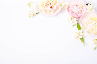 Hassas pastel şakayık çiçeği, beyaz yasemin çiçekleri ve çiçek sanatı, düğün dekorasyonu ve lüks marka tasarımı için beyaz kurdele.