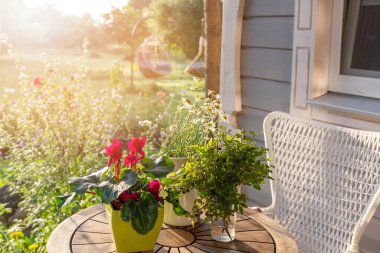 Merhaba yaz, ahşap masalı rahat bir teras, güneş ışığında çiçekler ve canlı bir bahçeye bakan hasır bir sandalye. Rahatlamak ve eğlenmek için mükemmel bir ortam..
