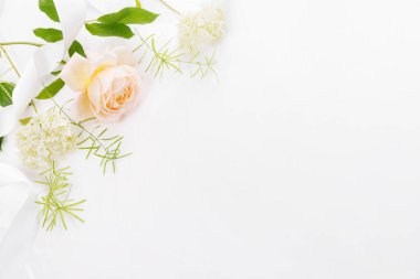 Hafif şeftali, beyaz ortanca, beyaz kurdele düğün davetiyesi için şenlik çerçevesi, düğün tebrikleri. Krema gülü karmaşıklığı, zarafeti ve samimiyeti simgeler.