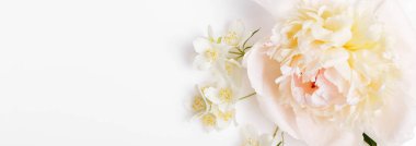 Beyaz arka planda narin şakayık ve yasemin çiçeklerinin yer aldığı geniş bir albüm kompozisyonu. Düğün davetiyesi, tebrik kartı, spa markası mevsimlik promosyon, sosyal medya afişi. Boş alan