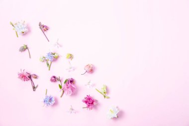 Hassas pastel sütunlu çiçekler, yumuşak pembe arka planda köşegenler halinde yayılmış, düz bir stil ve bedava kopya alanı var. Kadınsı markalaşma, kozmetik ambalajlama, tebrik kartları veya bahar temalı tasarım için