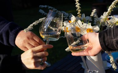 Bahar tostu, beyaz şarap kadehlerini tokuşturan arkadaşlar, çiçek açan nergisler, spirea çiçekleri, gün batımı ışığı, açık hava kutlaması, şarap festivali, bahçe partisi, kırsal restoran atmosferi.