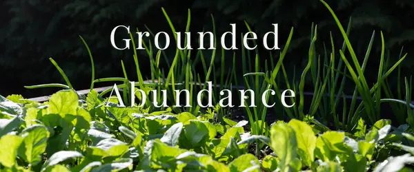 Yükseltilmiş bahçe yatağında taze organik yeşillikler ve soğan filizleri, güneş ışığı ve gölgeler, topraklanmış bolluk, ağ afişleri için mükemmel, iyi markalaşma, eko tasarım, sürdürülebilir canlı görseller