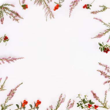 Kare sonbahar çiçekli çerçeve, beyaz arka planda yabanmersini dalları ve yaban mersini, tebrik kartı, poster, broşür, tatil tasarımı, eko tarzı konsept için mevsimsel doğal şablon