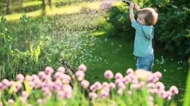 Cute toddler boy watering flower beds in the garden at summer day. Child using garden hose to water vegetables. Kid helping with everyday chores. Mommys little helper.