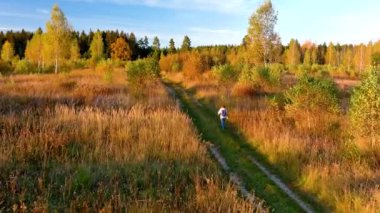 Sonbahar ormanlarını keşfeden genç bir kadının hava manzarası güneşli bir akşamda mavi gökyüzünün altında.