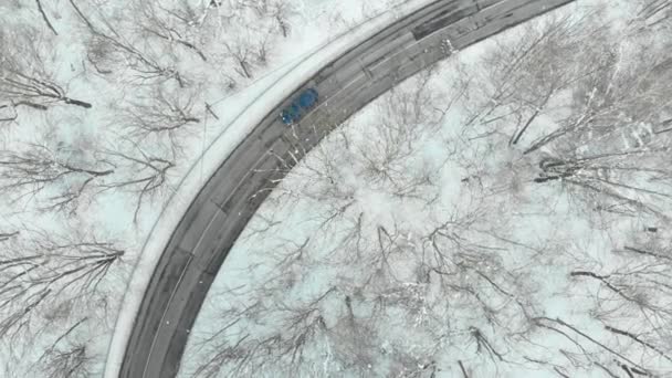Beautiful Aerial Top View Snow Covered Pine Forest Road Winding — Stock videók