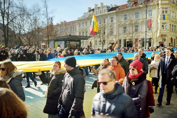 Vilnius Lituania Marzo 2022 Gente Alegre Llevando Banderas Tricolores Lituanas —  Fotos de Stock