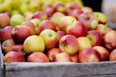 Litvanya 'nın Vilnius kentindeki yıllık bahar festivalinde çiftçilere satılan tahta kasalarda taze kırmızı ve sarı elmalar.