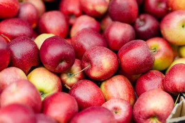 Litvanya 'nın Vilnius kentindeki yıllık bahar festivalinde çiftçilere satılan tahta kasalarda taze kırmızı ve sarı elmalar.