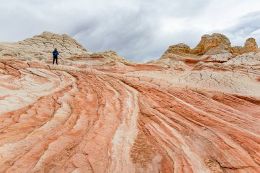 Mindblowing shapes and colors of moonlike sandstone formations in White Pocket, Arizona, USA. Exploring the American Southwest.