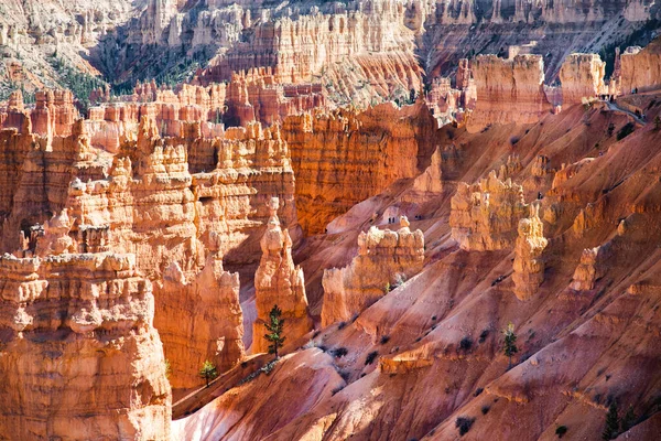 Scenic View Stunning Red Sandstone Hoodoos Bryce Canyon National Park — Stok fotoğraf