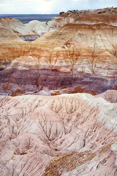 Striped Purple Sandstone Formations Blue Mesa Badlands Petrified Forest National — Stock Photo, Image