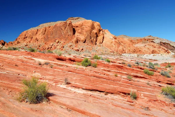 Amazing Colors Shapes Sandstone Formations Valley Fire State Park Nevada — Foto de Stock