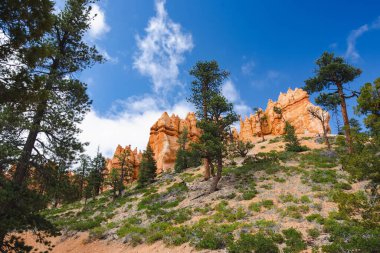 Scenic view of stunning red sandstone hoodoos in Bryce Canyon National Park in Utah, USA. Exploring the American Southwest.