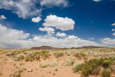 Beautiful landscape of a desert in Arizona. Dry grass and sandstone formations under cloudy blue sky on hot summer day. Arizona, USA.