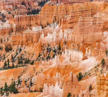 Scenic view of stunning red sandstone hoodoos in Bryce Canyon National Park in Utah, USA. Exploring the American Southwest.