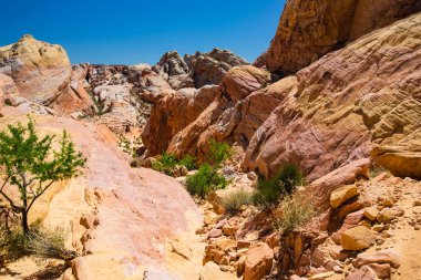 Amazing colors and shapes of sandstone formations in Valley of Fire State Park, Nevada, USA. Exploring the American Southwest.