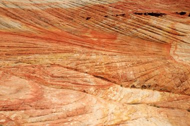 Scenic view of marvelous red and white sandstone formations of Yant Flat in Utah, USA. Exploring the American Southwest.