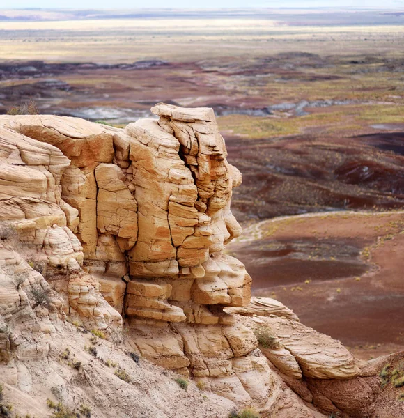 美国亚利桑那州石化森林国家公园中蓝色梅萨荒地带紫色砂岩的形成 探索美国西南部 — 图库照片