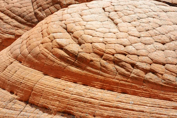 Scenic View Marvelous Red White Sandstone Formations Yant Flat Utah — Stockfoto