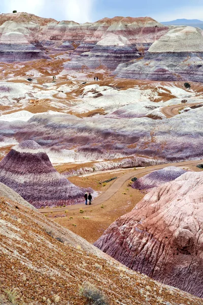 Striped Purple Sandstone Formations Blue Mesa Badlands Petrified Forest National — Fotografie, imagine de stoc