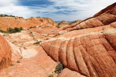 Scenic view of marvelous red and white sandstone formations of Yant Flat in Utah, USA. Exploring the American Southwest.
