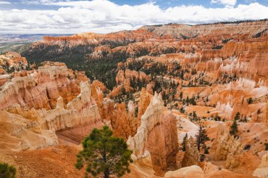 Scenic view of stunning red sandstone hoodoos in Bryce Canyon National Park in Utah, USA. Exploring the American Southwest.