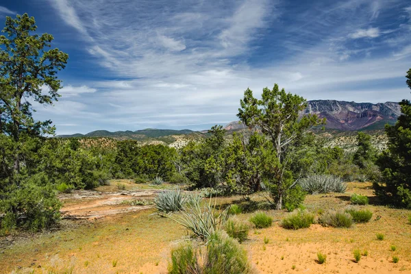 Dixie National Forest Yant Flat Sandstone Formations Utah Usa Exploring — Foto de Stock