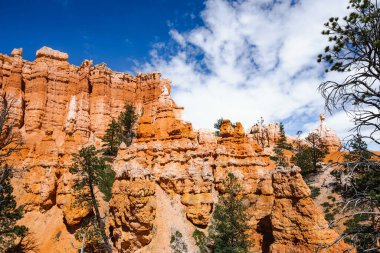 Scenic view of stunning red sandstone hoodoos in Bryce Canyon National Park in Utah, USA. Exploring the American Southwest.